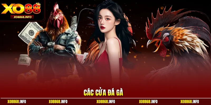 Các cửa đá gà