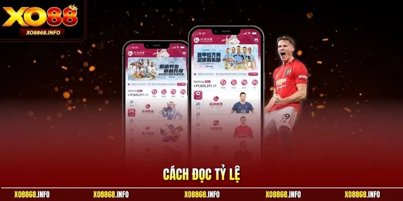 Cách đọc tỷ lệ