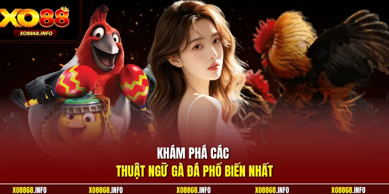 Khám phá các thuật ngữ gà đá phổ biến nhất