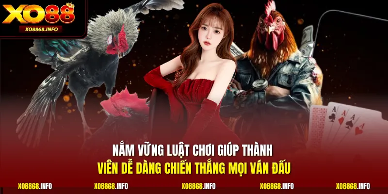 Nắm vững luật chơi giúp thành viên dễ dàng chiến thắng mọi ván đấu