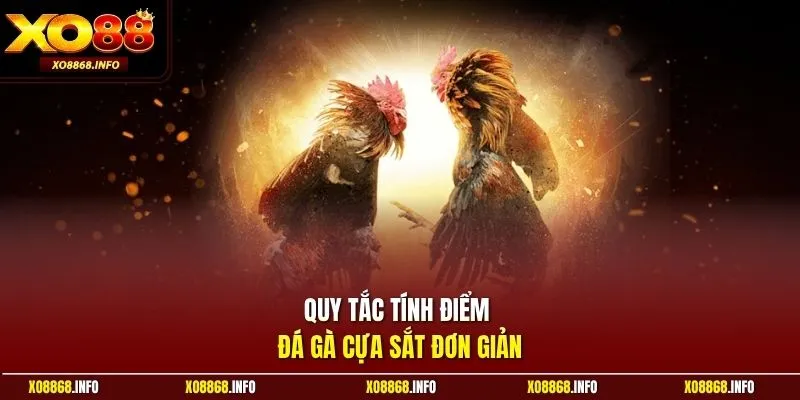 Quy tắc tính điểm đá gà cựa sắt đơn giản