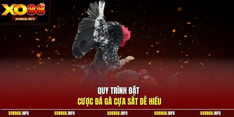 Quy trình đặt cược đá gà cựa sắt dễ hiểu