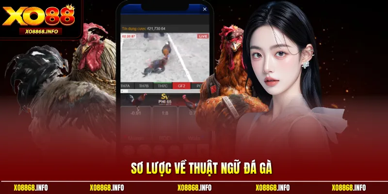 Sơ lược về thuật ngữ đá gà