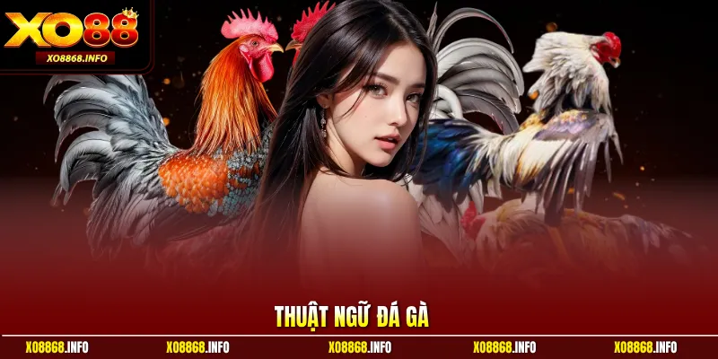 Thuật ngữ đá gà